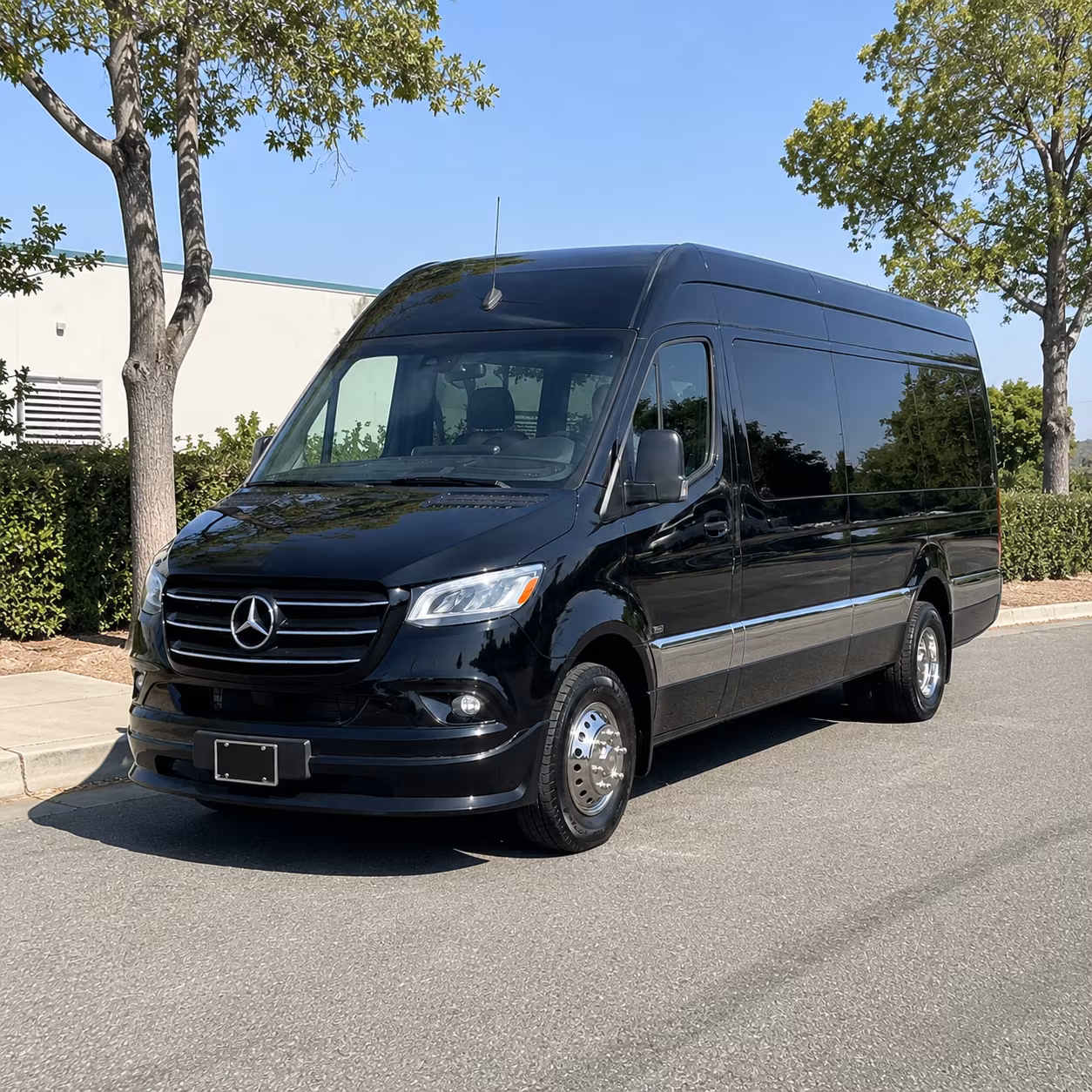 cincinnati sprinter van with driver